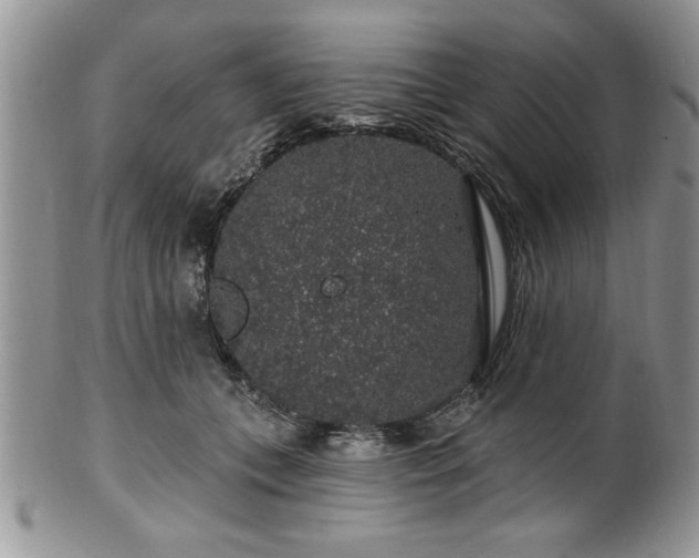 X0000100390559200806130954