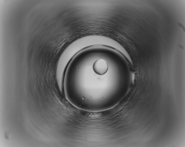 X0000100390560200806130954