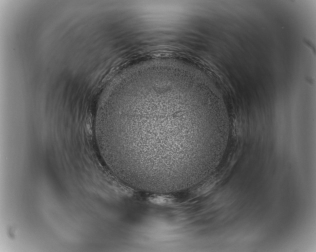 X0000100390561200806130954