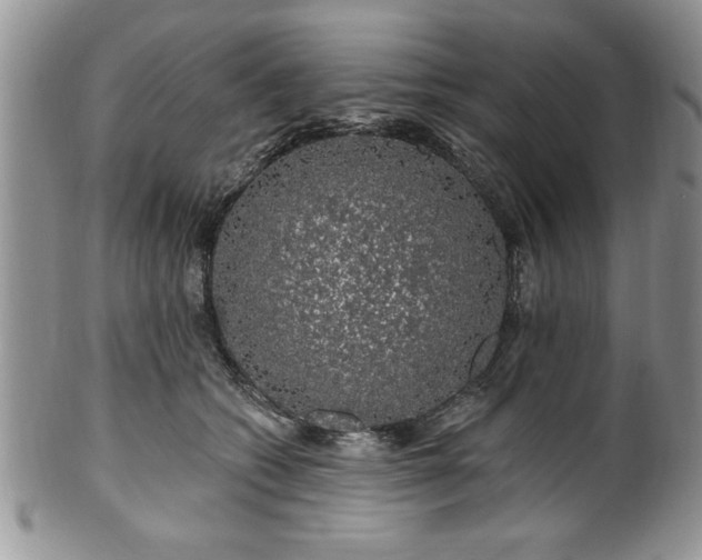 X0000100390562200806130954