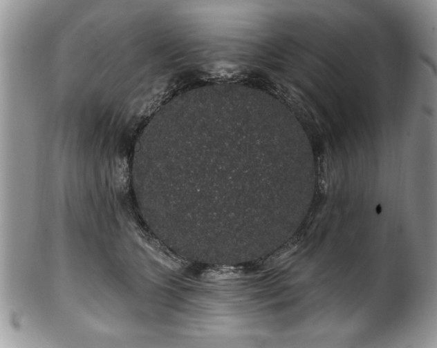 X0000100390563200806130954