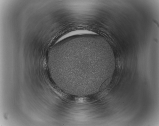 X0000100390564200806130954