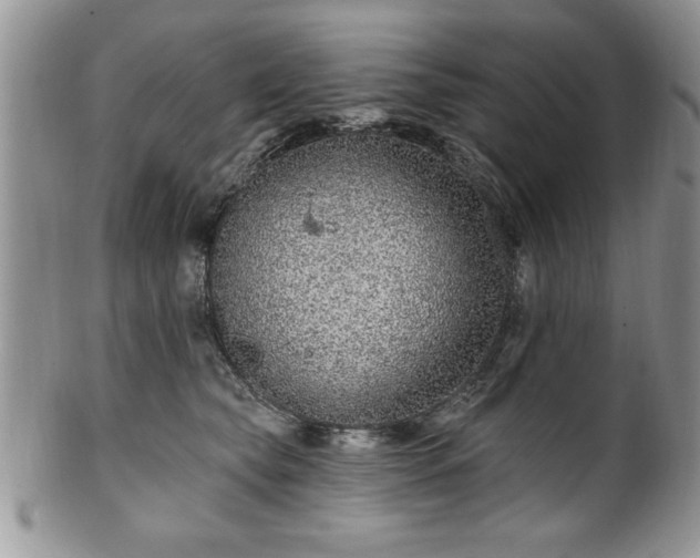 X0000100390565200806130954