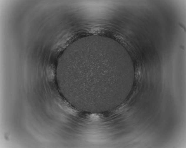 X0000100390566200806130954