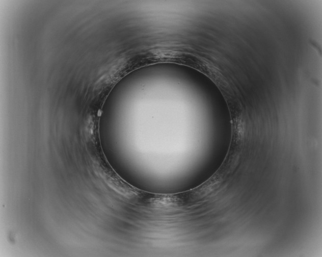 X0000100390567200806130954