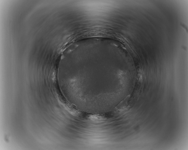 X0000100390568200806130954