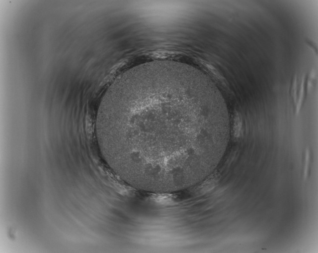 X0000100390569200806130954