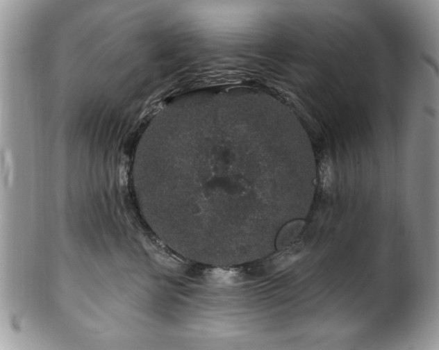 X0000100390570200806130954