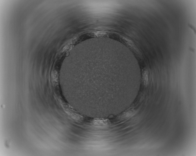 X0000100390571200806130954