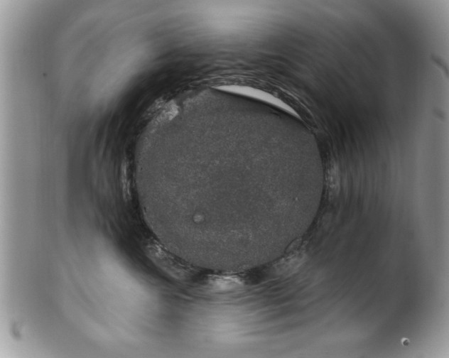 X0000100390572200806130954