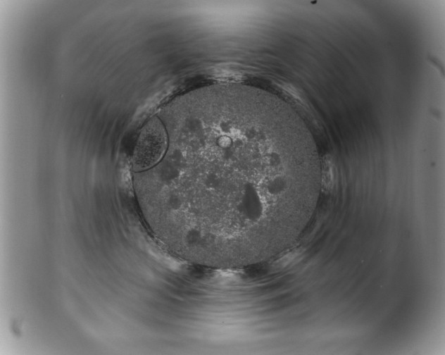 X0000100390573200806130954