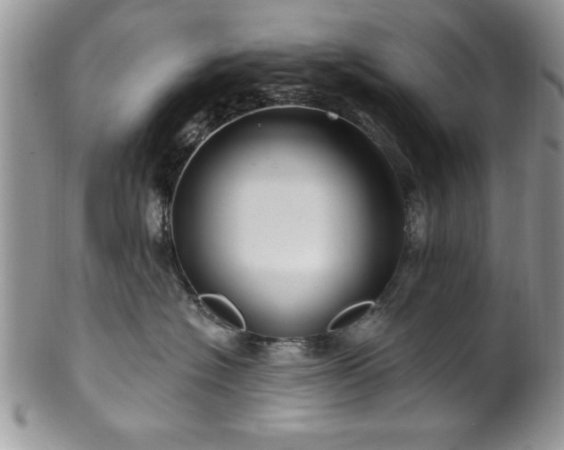 X0000100390574200806130954