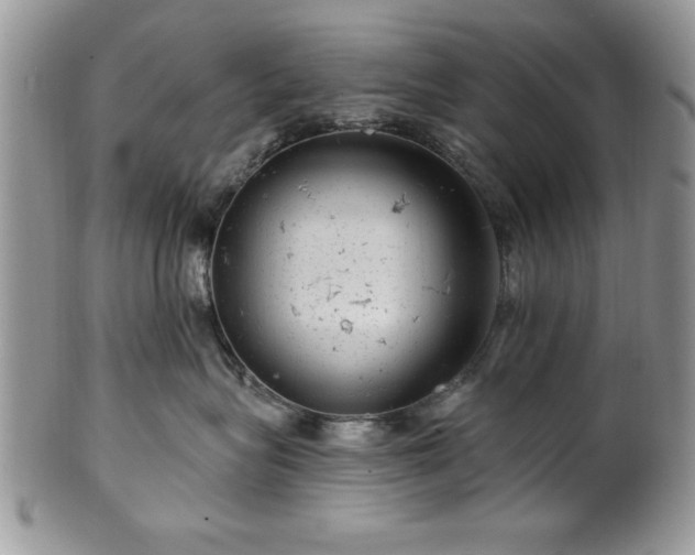 X0000100390575200806130954