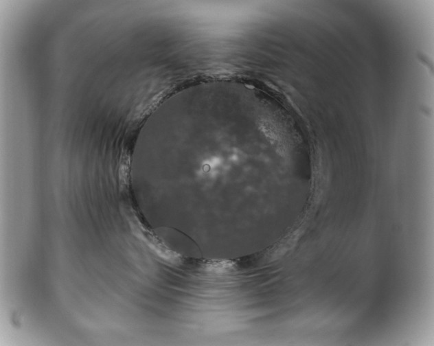 X0000100390576200806130954