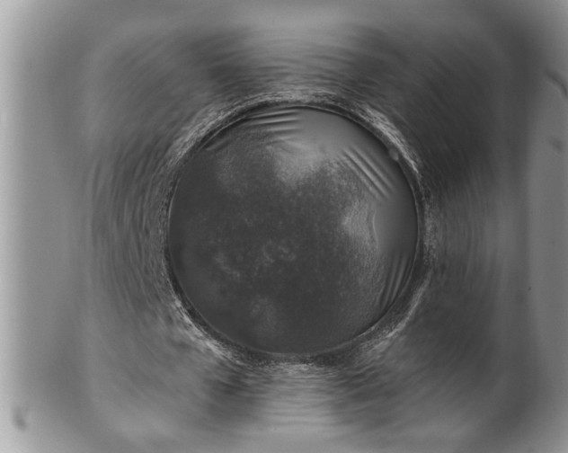 X0000100390577200806130954