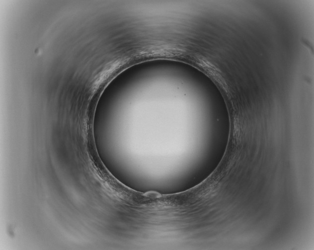 X0000100390578200806130954