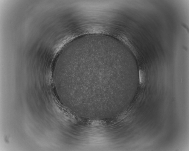 X0000100390579200806130954