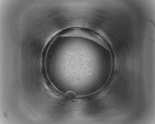 X0000100390580200806130954