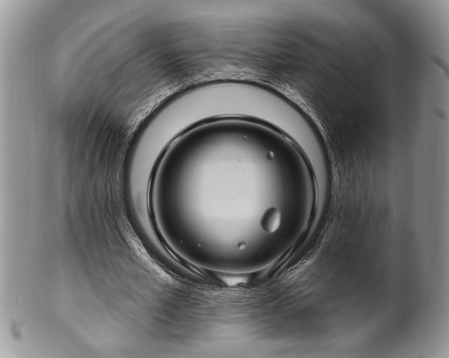 X0000100390581200806130954