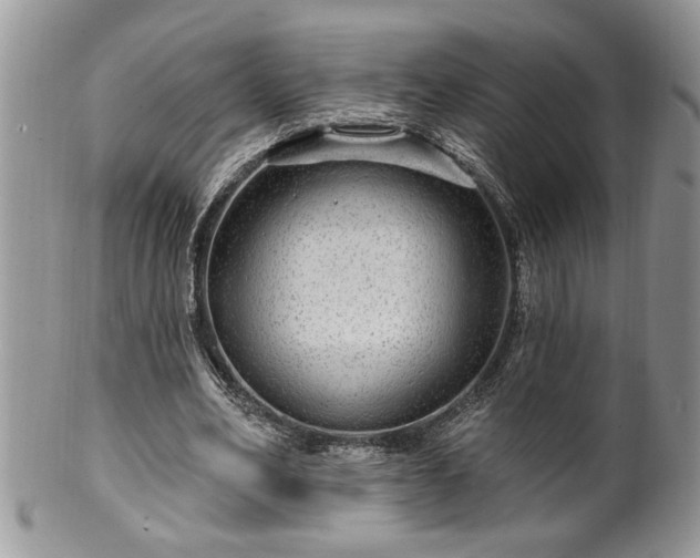 X0000100390582200806130954