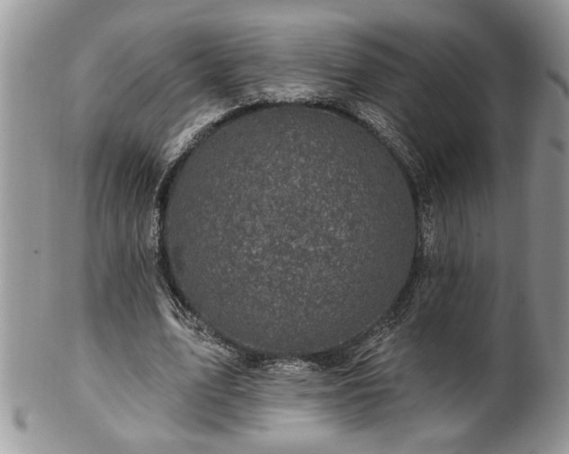 X0000100390583200806130954