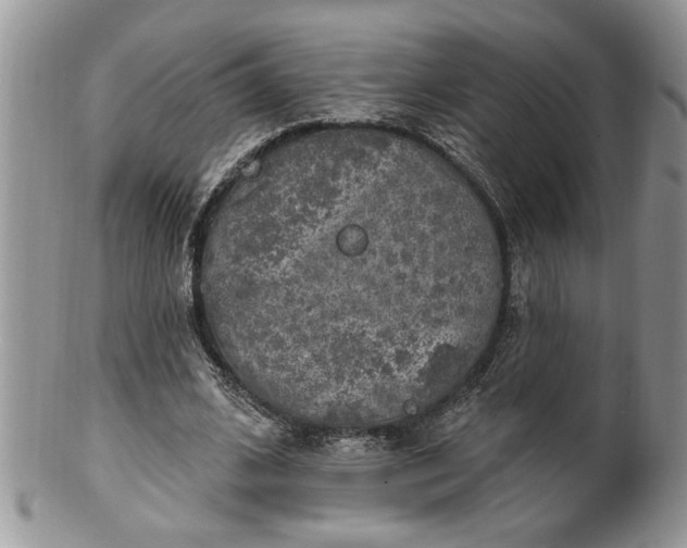 X0000100390584200806130954