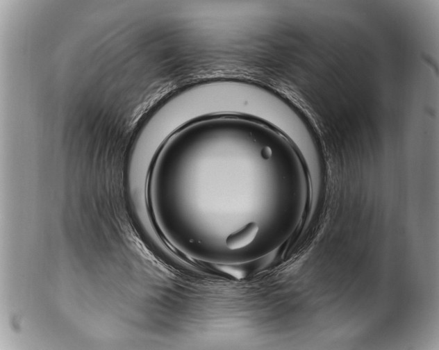 X0000100390585200806130954