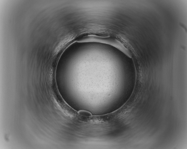 X0000100390586200806130954