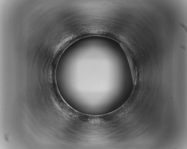 X0000100390587200806130953