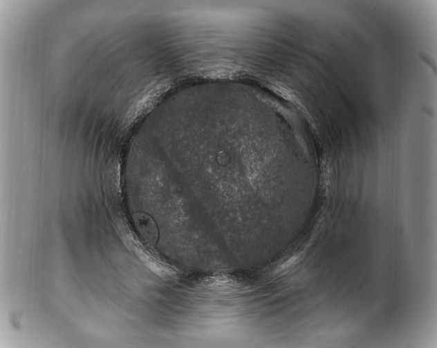 X0000100390589200806130953