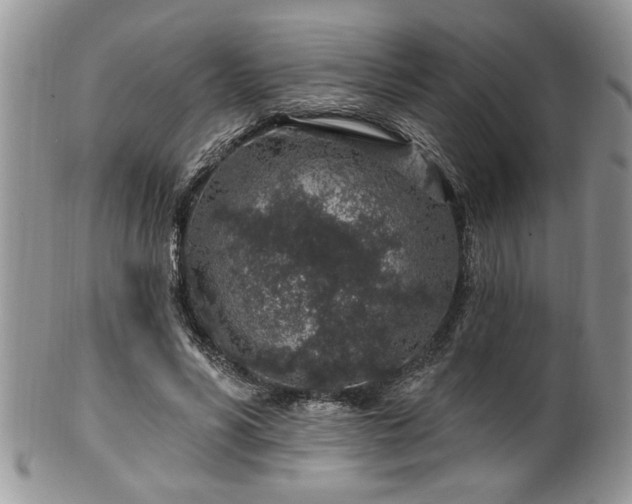 X0000100390590200806130953