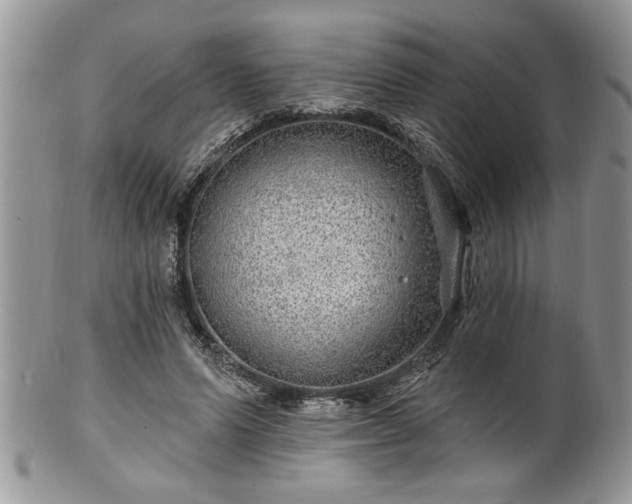 X0000100390591200806130953