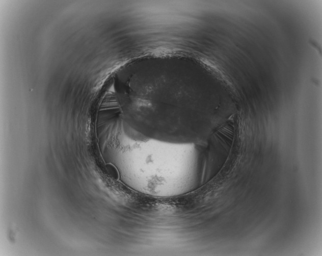 X0000100390592200806130953