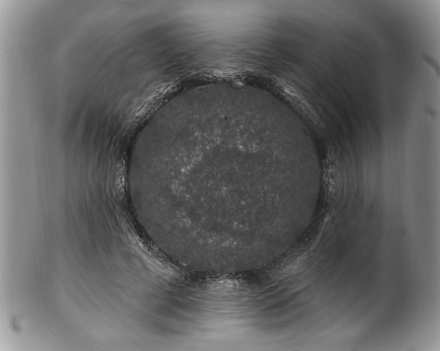 X0000100390593200806130953