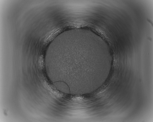 X0000100390594200806130953