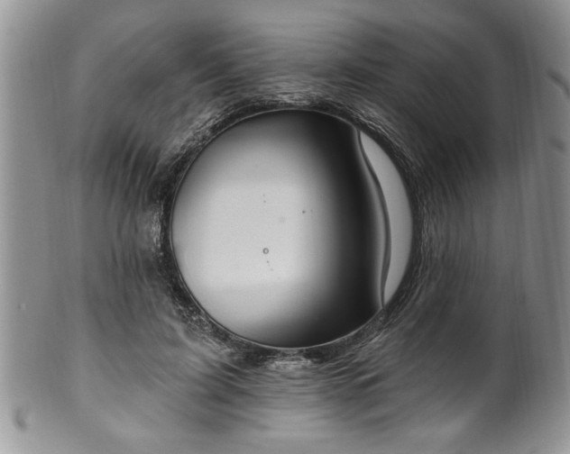 X0000100390595200806130953