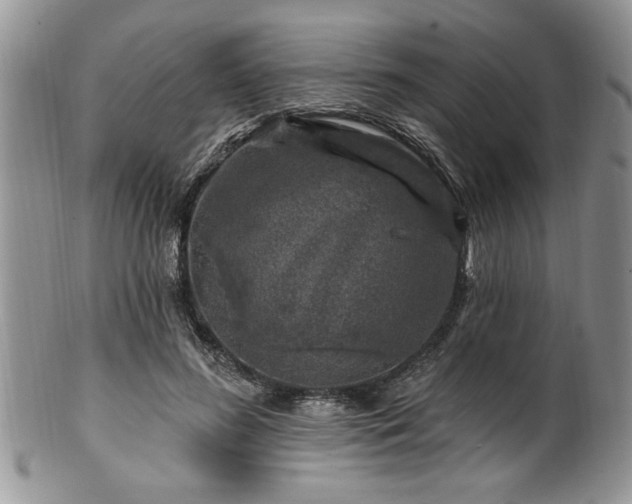 X0000100390596200806130953