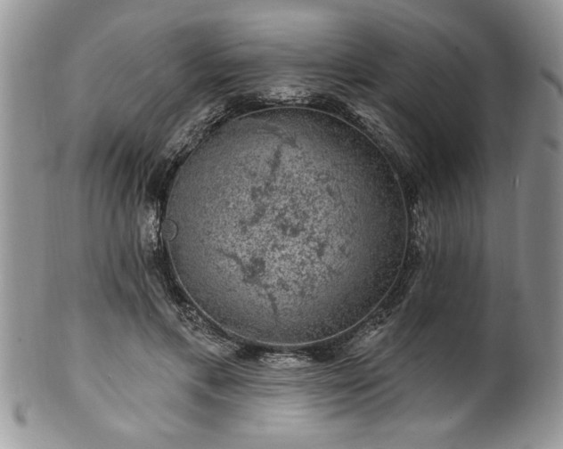 X0000100390597200806130953