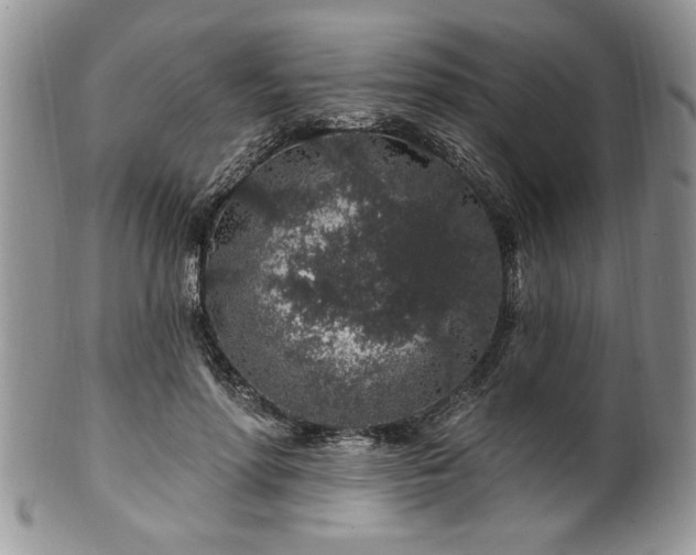 X0000100390598200806130953