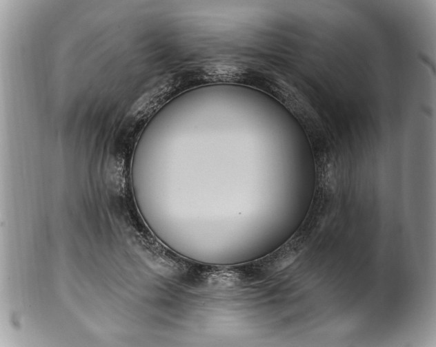 X0000100390599200806130953