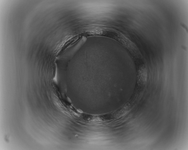 X0000100390600200806130953