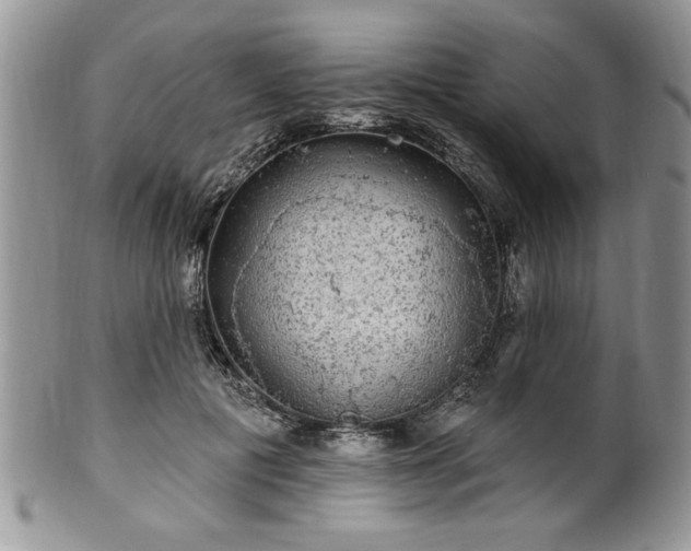 X0000100390601200806130953