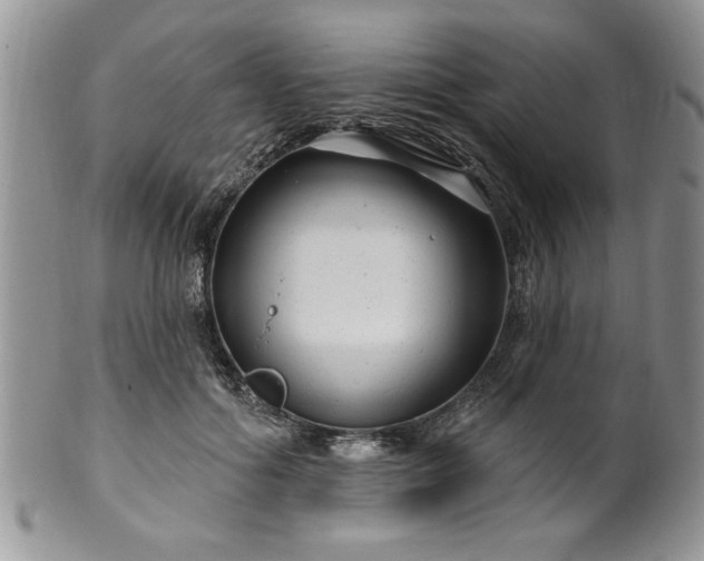 X0000100390602200806130953