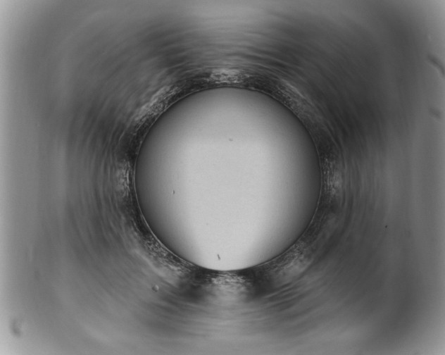 X0000100390603200806130953