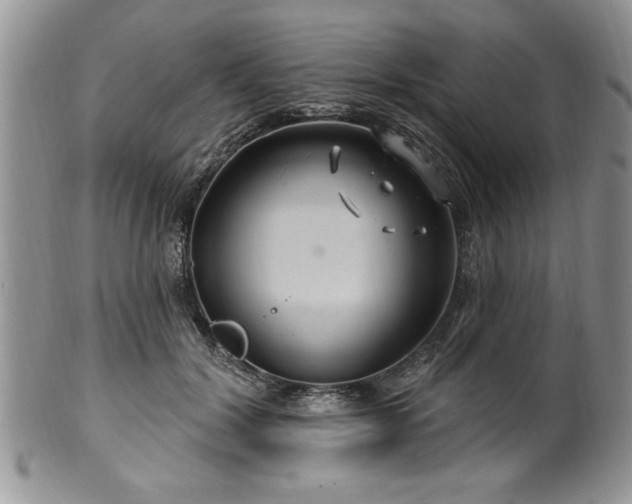 X0000100390604200806130953