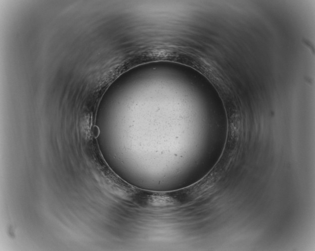 X0000100390605200806130953