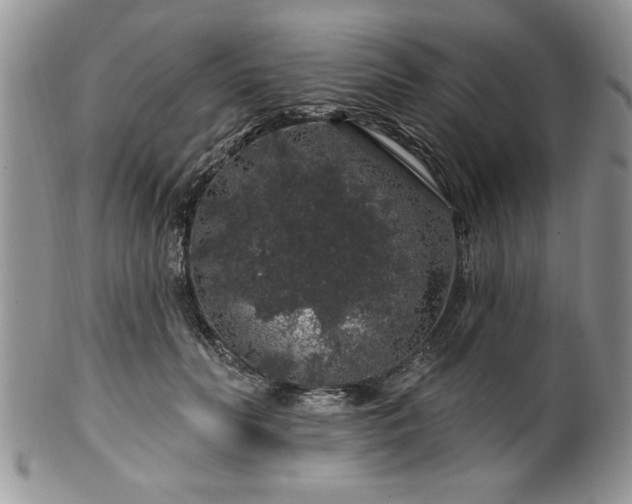 X0000100390606200806130953