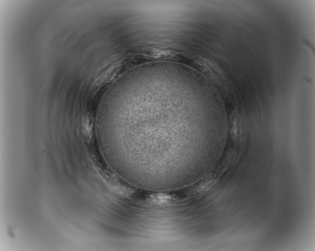 X0000100390607200806130953