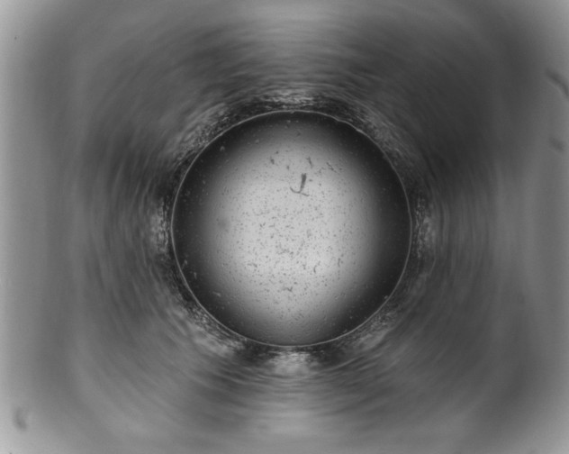 X0000100390609200806130953