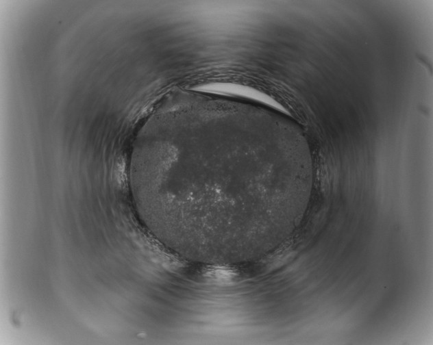 X0000100390610200806130953